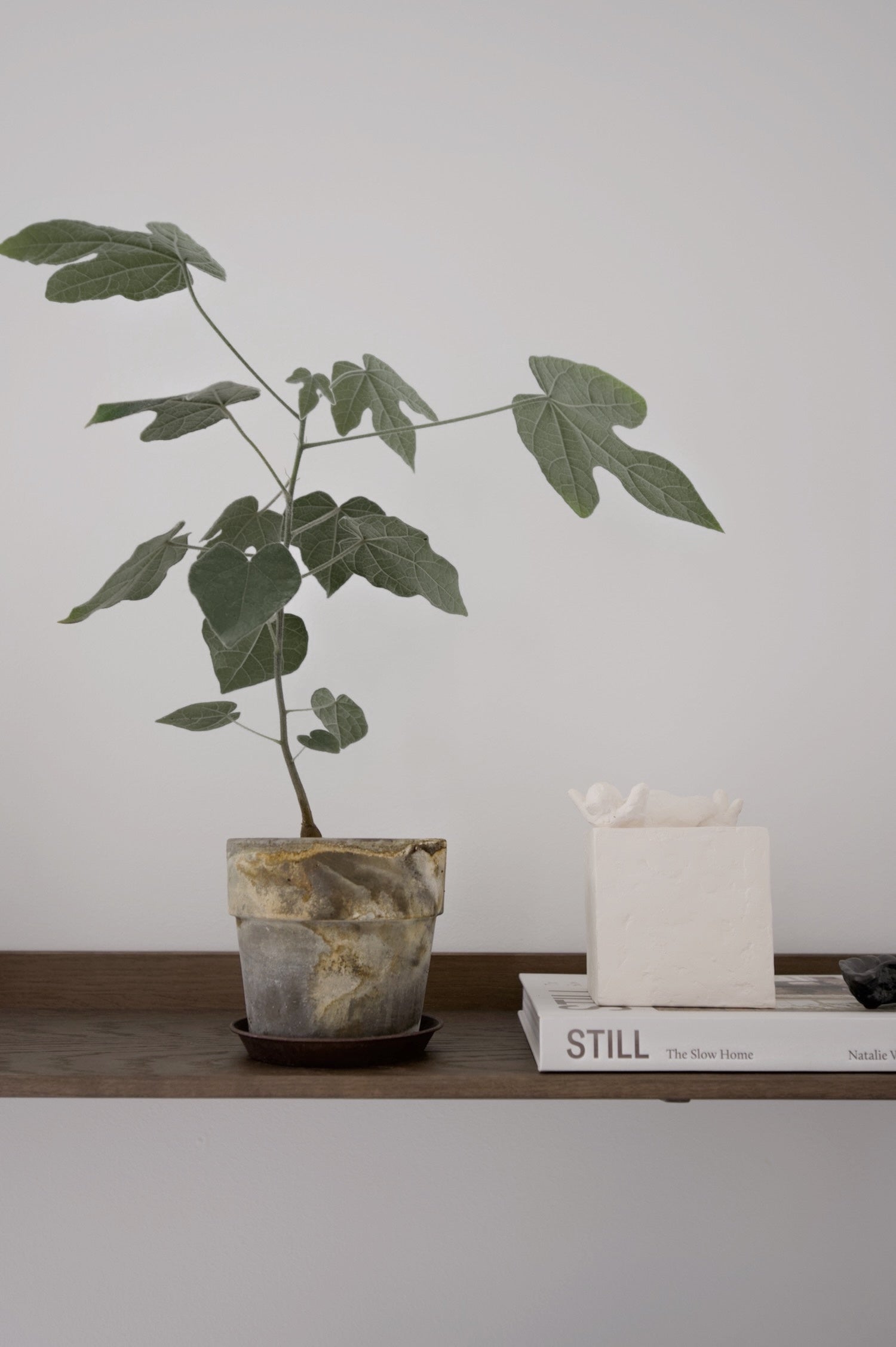 no. 4・Slow Living